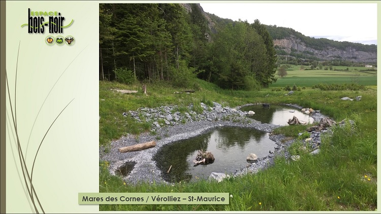 L’Espace Bois-Noir à St-Maurice se dévoile à l’occasion de la 10e Fête de la Nature