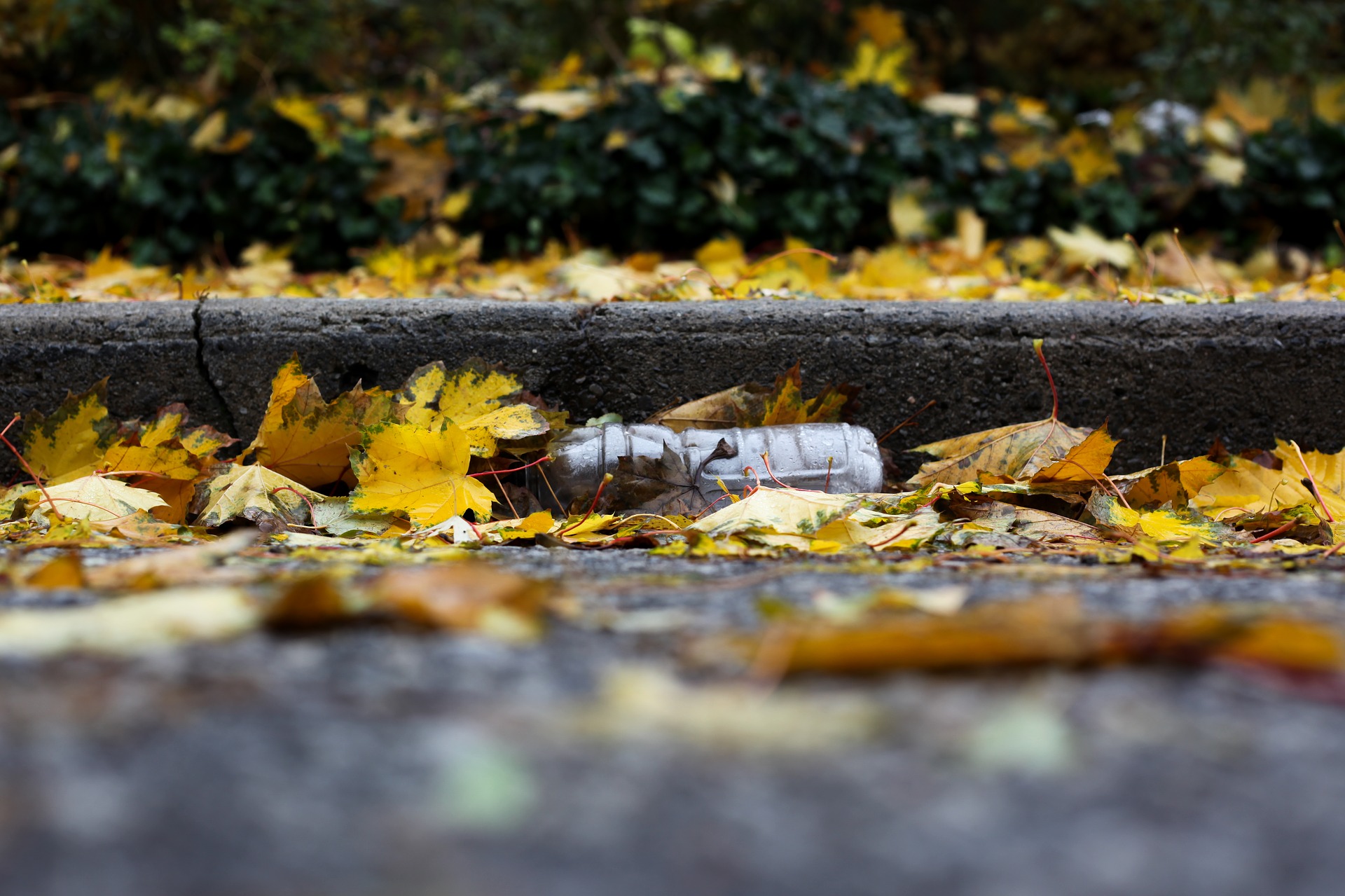 Martigny se félicite pour une opération de ramassage des déchets par les écoliers