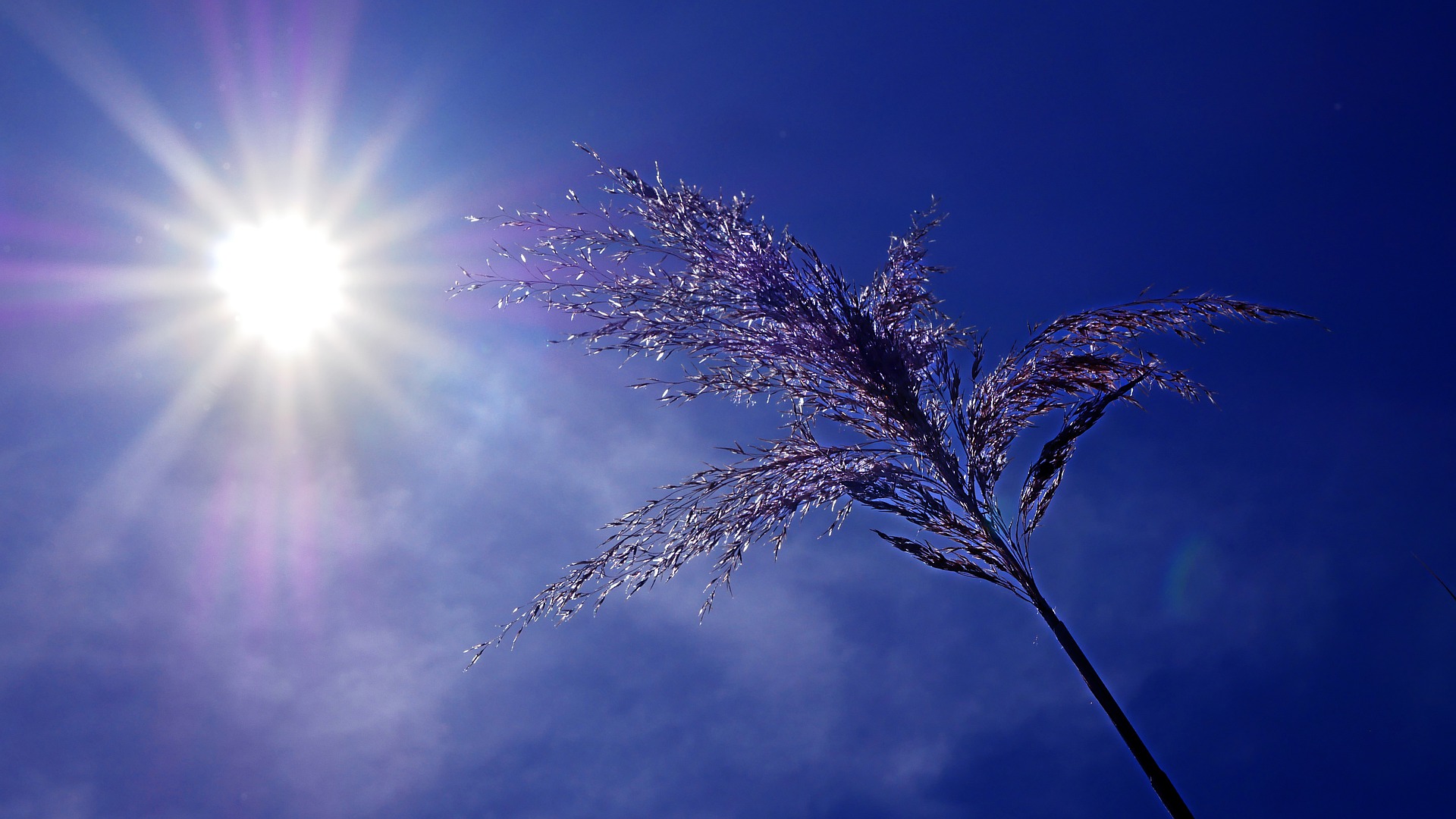La veille sanitaire en cas de canicule a démarré mardi dans le canton de Vaud