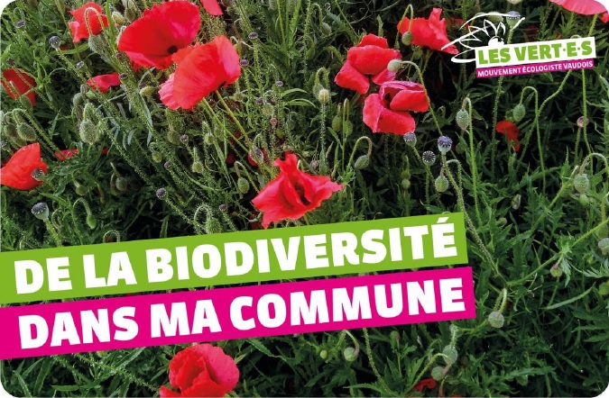 Les Vert∙e∙s vaudois publient un guide pour réconcilier nature et milieux bâtis
