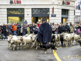 La traditionnelle foire de la Saint-Martin n’aura pas lieu cette année à Vevey