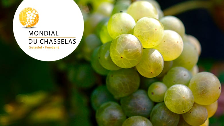 Les chasselas vaudois primés, mais les autres ne déméritent pas