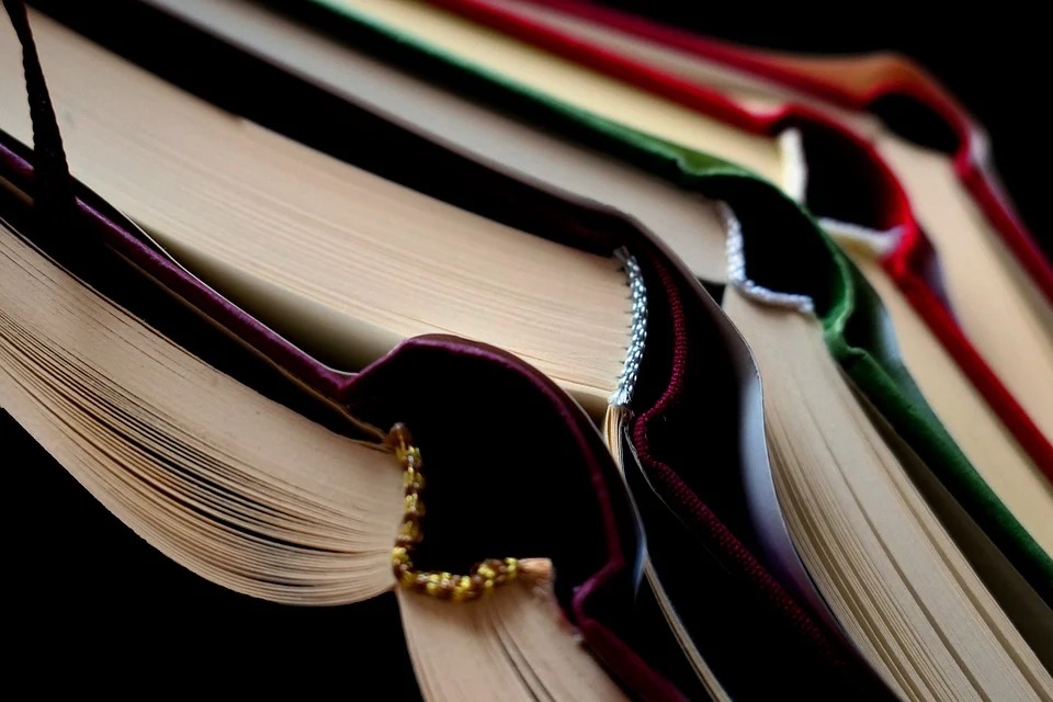 Grand Conseil vaudois: une PLR demande une meilleure politique d'orientation scolaire