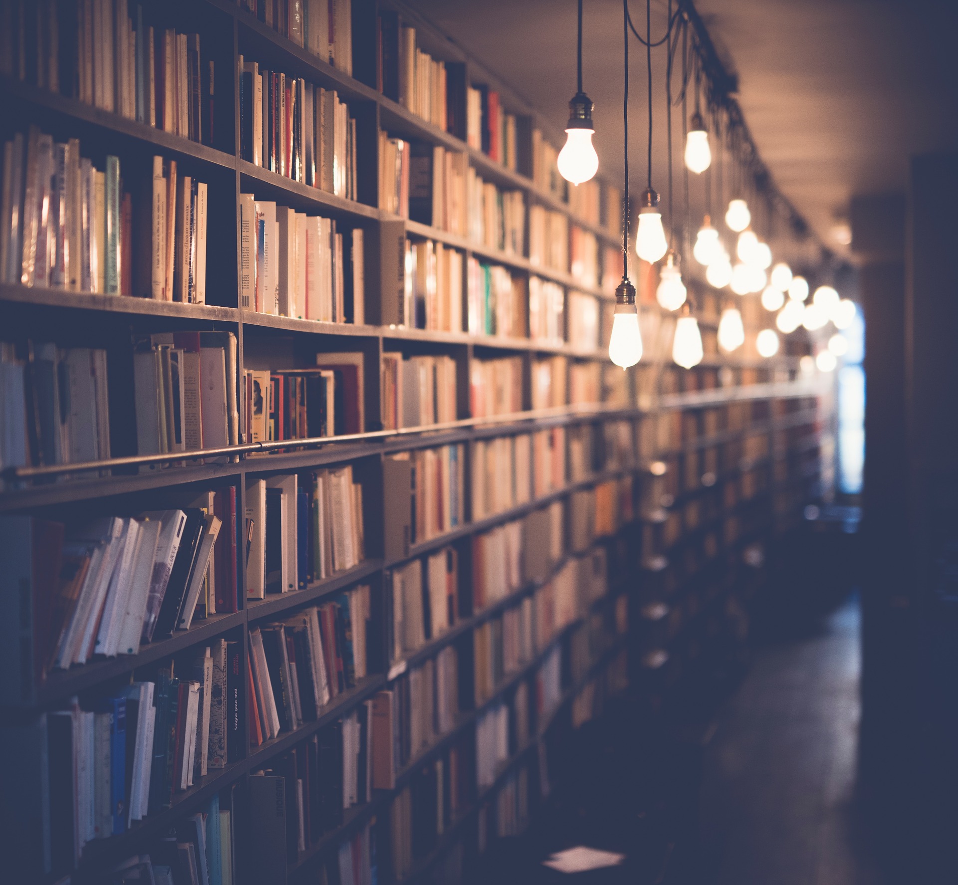 Les bibliothèques valaisannes ne veulent pas être oubliées