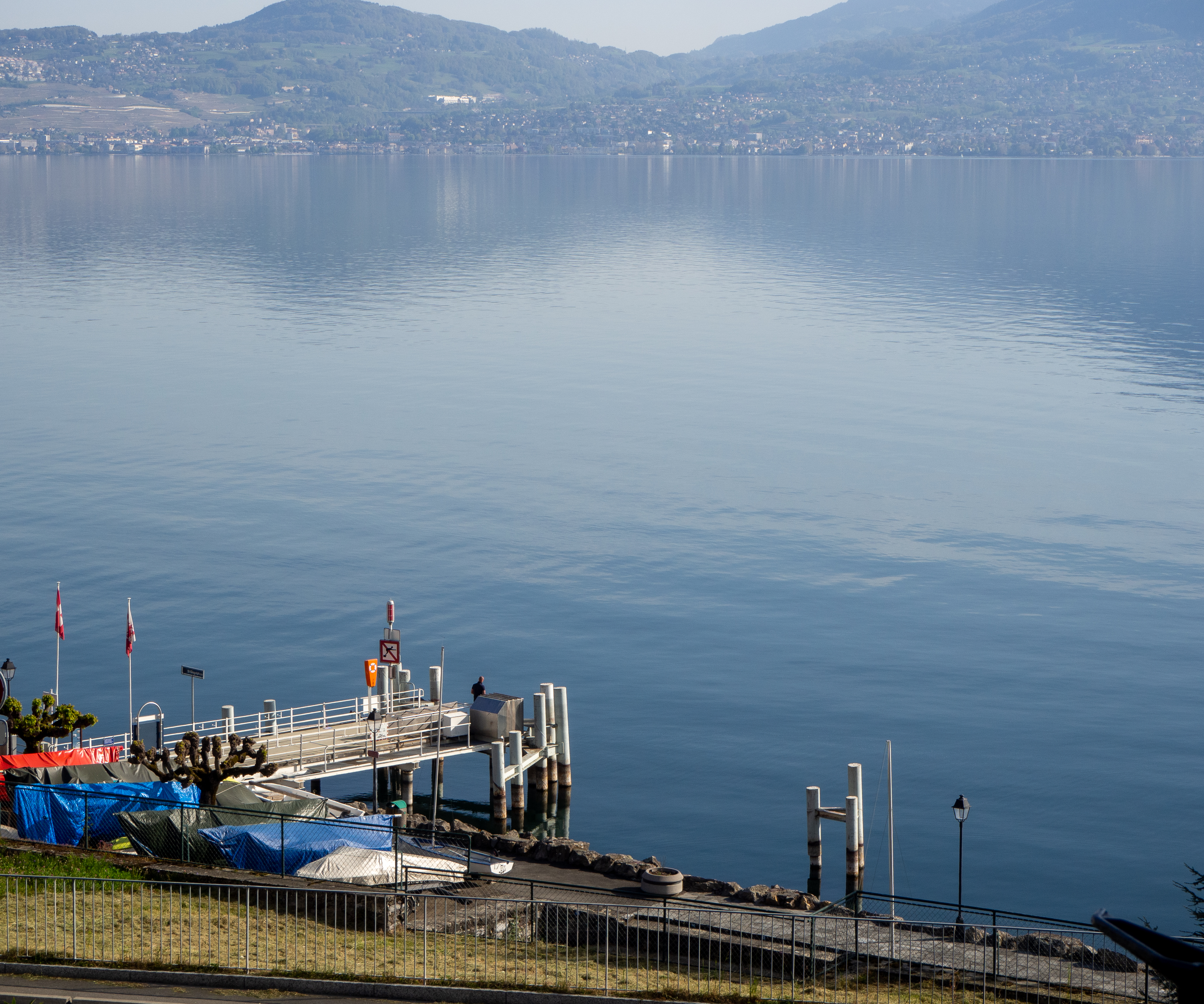 Une algue non-toxique touche le Léman