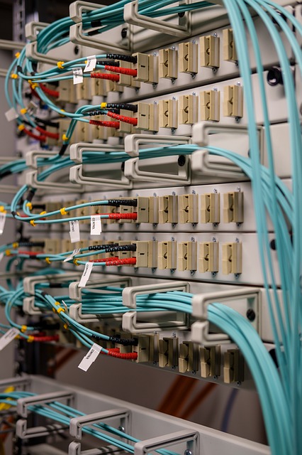 La fibre optique s’étend à Aigle