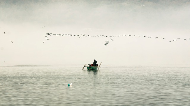 La pêche a été un peu meilleure dans le Léman l’an passé