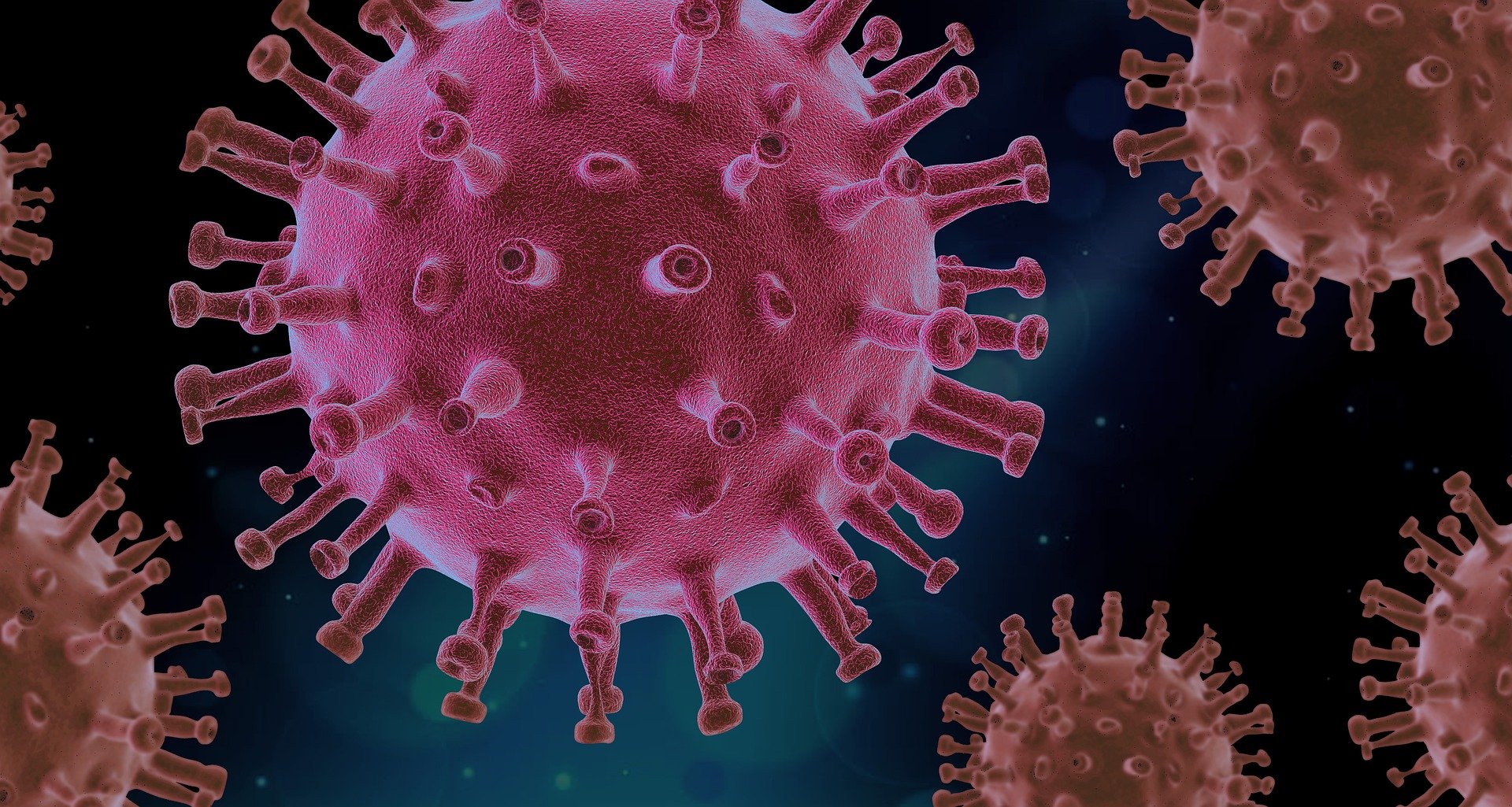 Coronavirus : Unisanté va tester un vaccin anglais sous la forme d'un patch