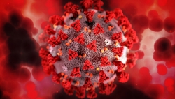 83% des Vaudoises et des Vaudois sont immunisés contre le coronavirus