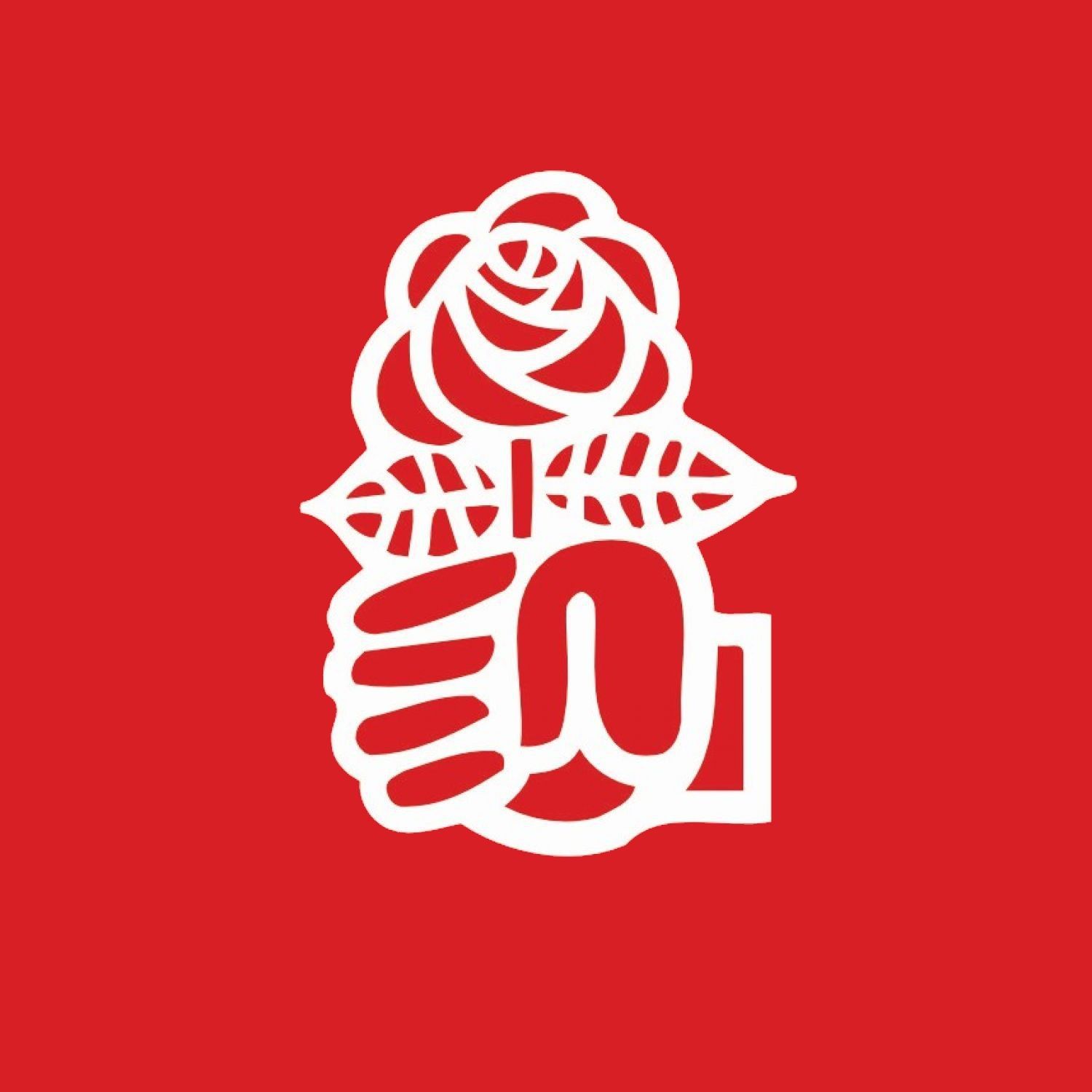 Les socialistes du district Riviera-Pays-d’Enhaut lancent 16 candidats dans la course aux élections cantonales 2022