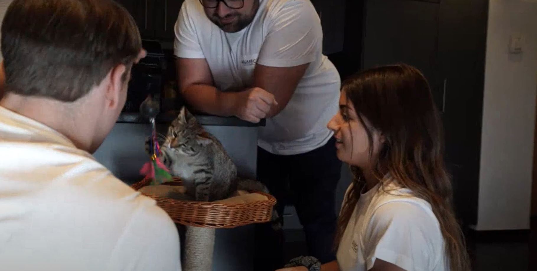 La croquette pour chat 100% valaisanne va pouvoir voir le jour 