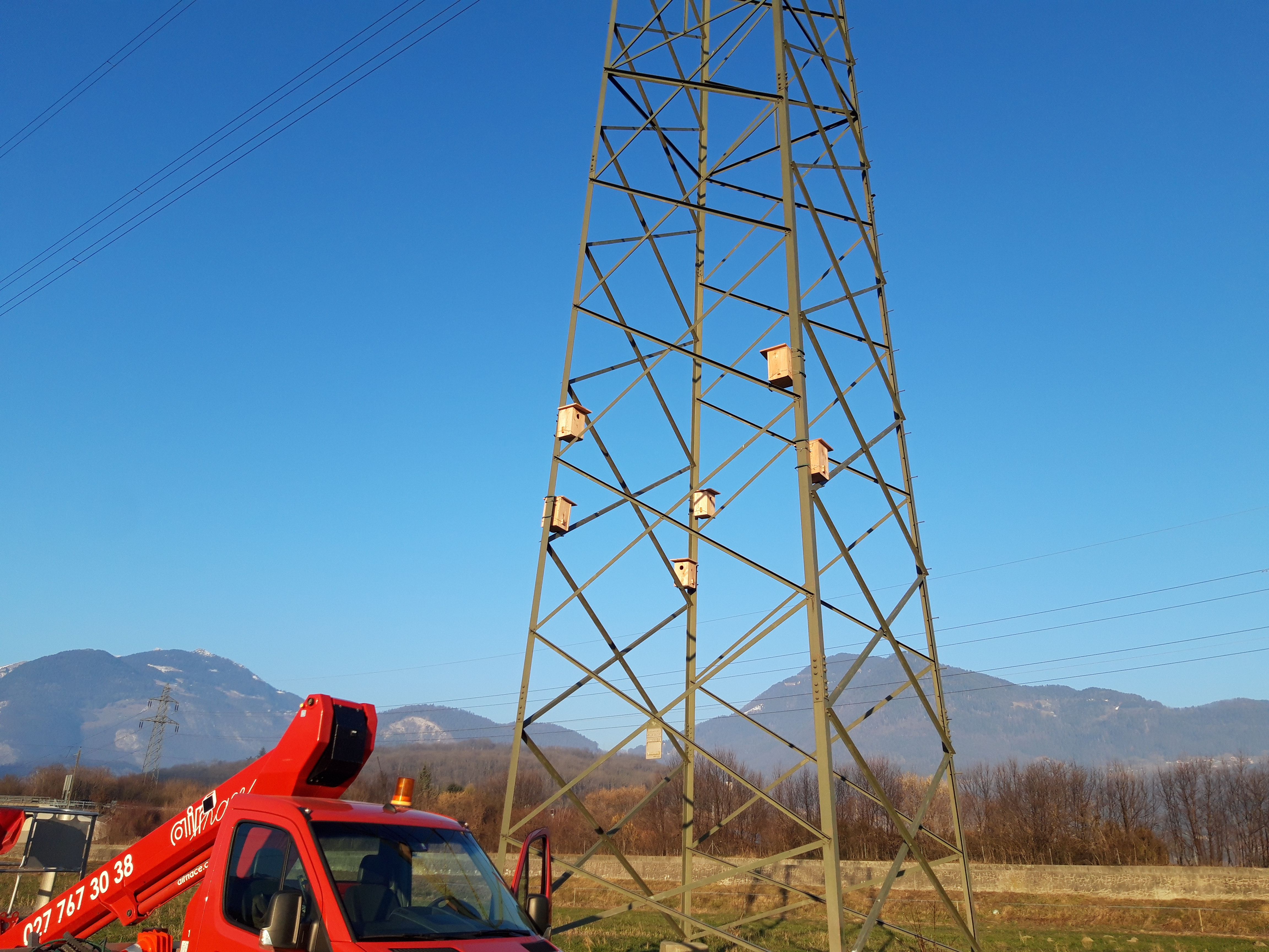 Le Groupe des jeunes de nos oiseaux a placé plusieurs nichoirs dans le Chablais à l’attention du Choucas des tours
