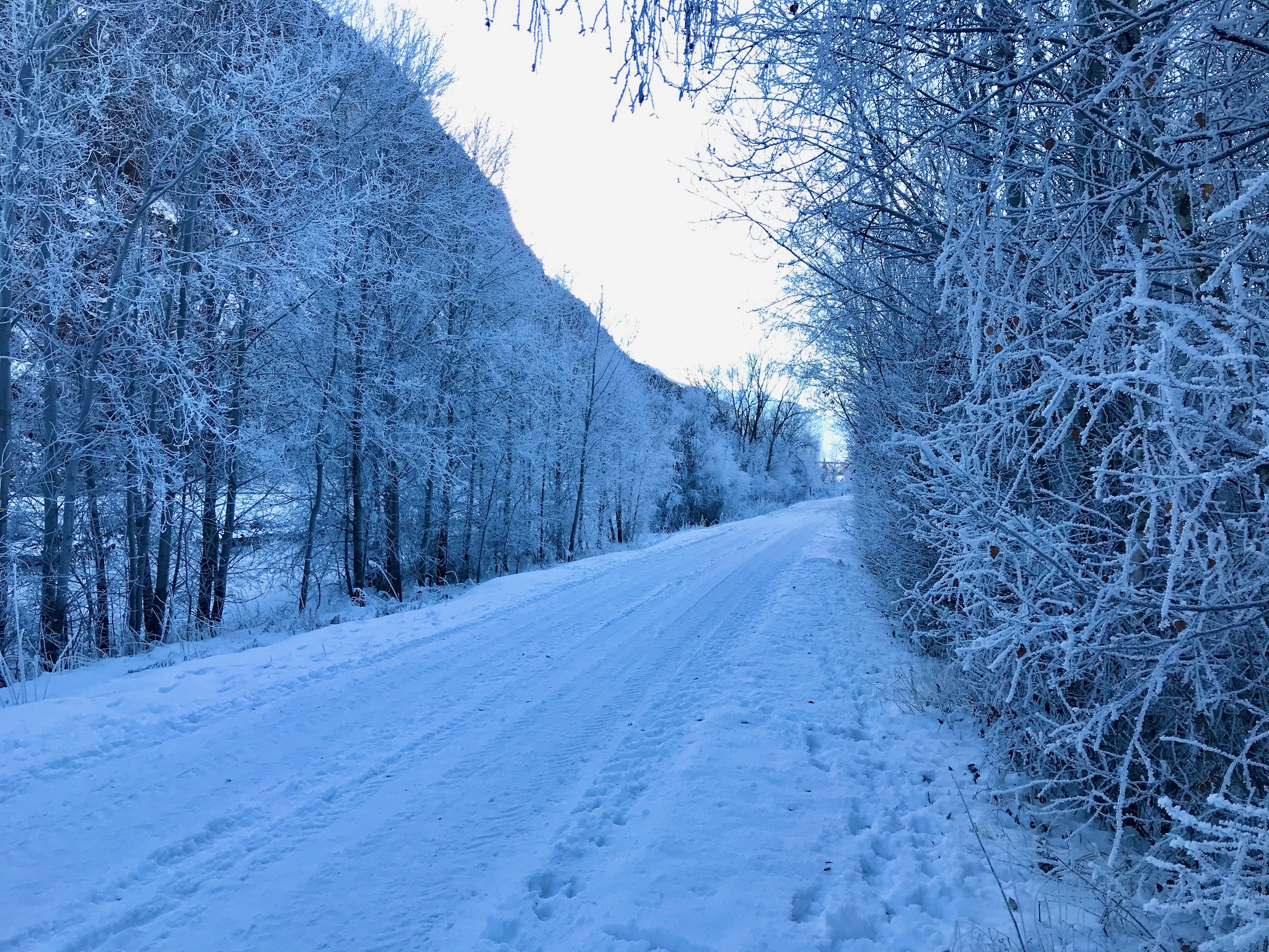 "La mobilité douce doit fonctionner aussi en hiver": une interpellation à ce propos déposée hier au Grand Conseil valaisan