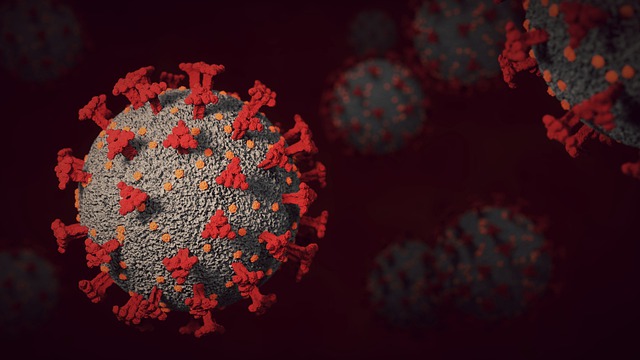 Neuf Valaisans sur dix ont des anticorps contre le virus du COVID-19