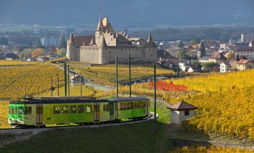 L’alliance vaudoise sort en tête dans la commune d’Aigle, au premier tour des élections au Conseil d’Etat