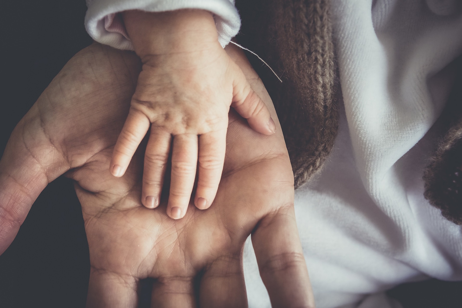 Un séminaire pour briser le tabou du droit à la parentalité des personnes en situation de handicap