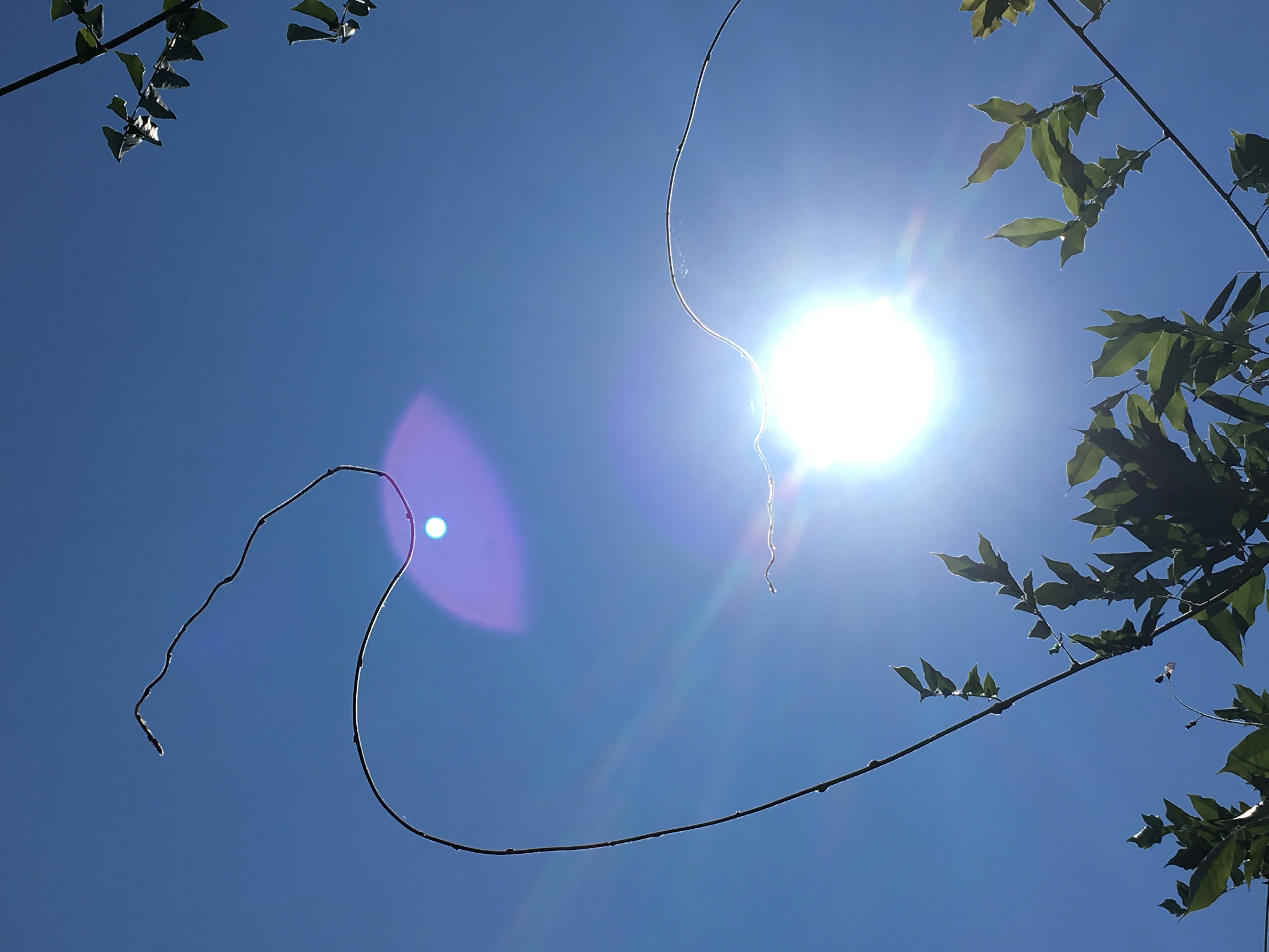 Le canton de Vaud lance un appel à la prudence en prévention de la canicule.