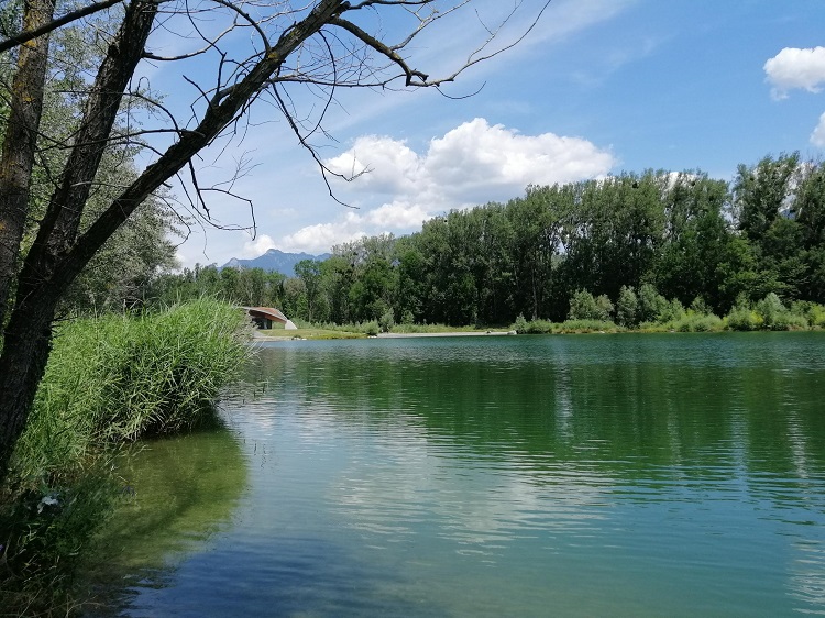 Les poissons de l’étang des Mangettes à Monthey sont contaminés