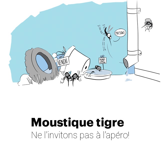 Vaud renforce sa lutte contre le moustique tigre