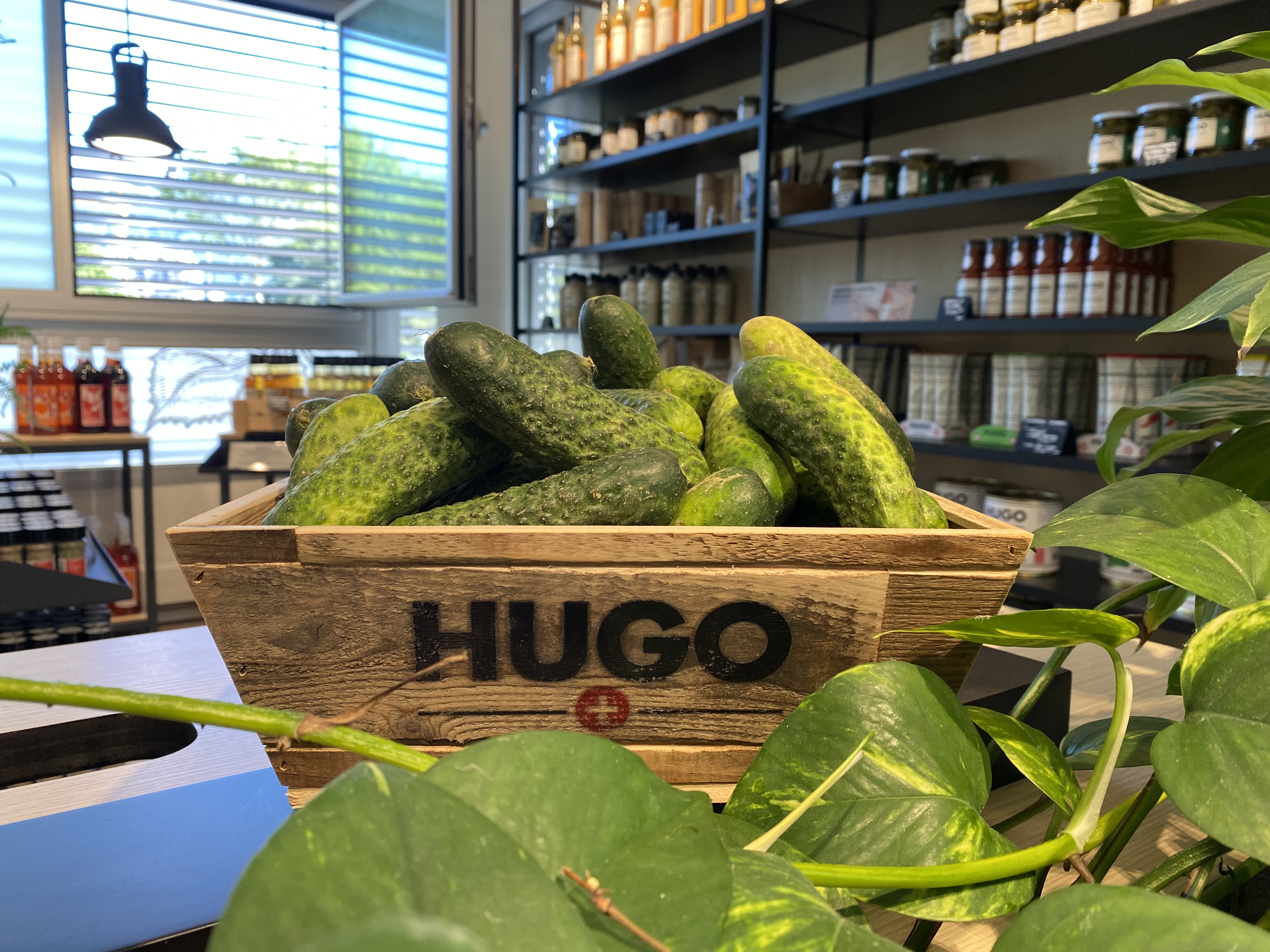 L’entreprise Hugo Reitzel rejoint Too Good to Go pour sauver ses cornichons non-utilisés