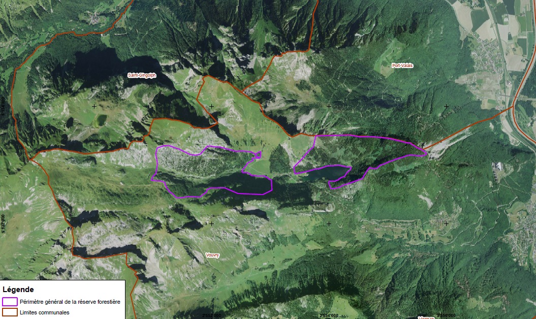 Le site de Taney sur la commune de Vouvry va accueillir une réserve forestière dès le 1er janvier 2023