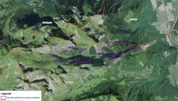 Le site de Taney sur la commune de Vouvry va accueillir une réserve forestière dès le 1er janvier 2023