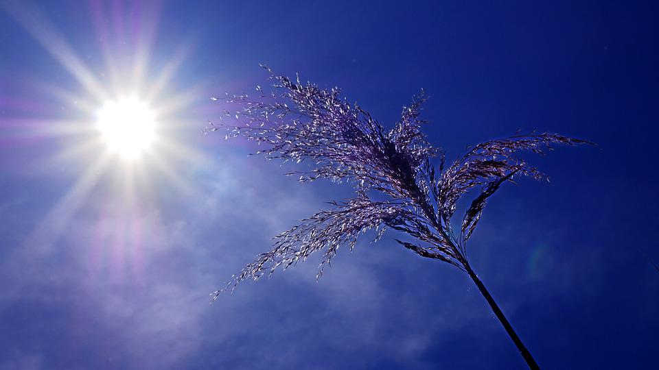 Vaud et le Valais lèvent leur plan canicule