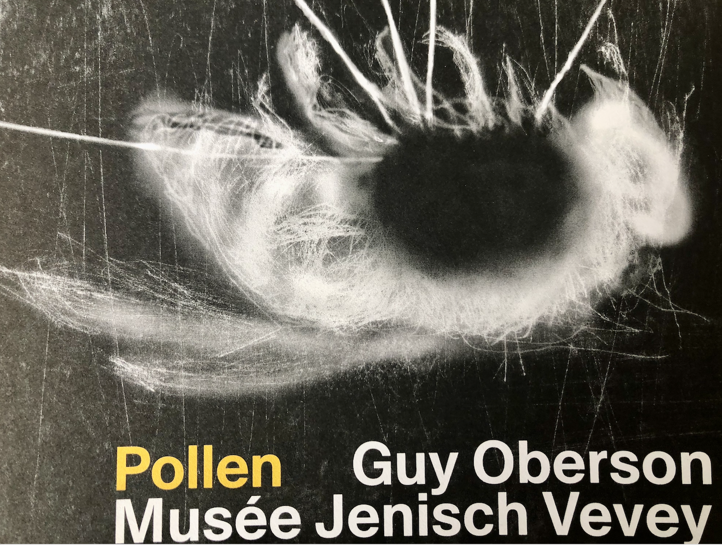 Les cycles de la vie au Musée Jenisch à Vevey