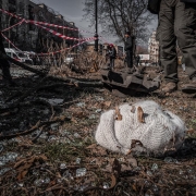 Ex-ambassadeur suisse en Russie, Yves Rossier évoque la guerre en Ukraine