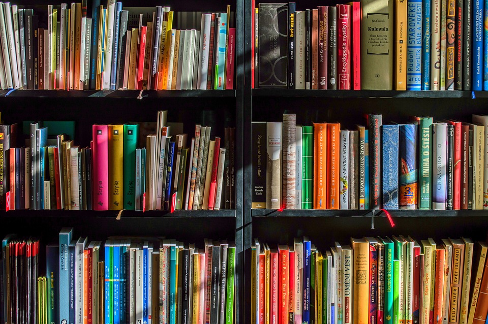 Le Haut-Valais sera finalement concerné par l'action cantonale de soutien aux librairies
