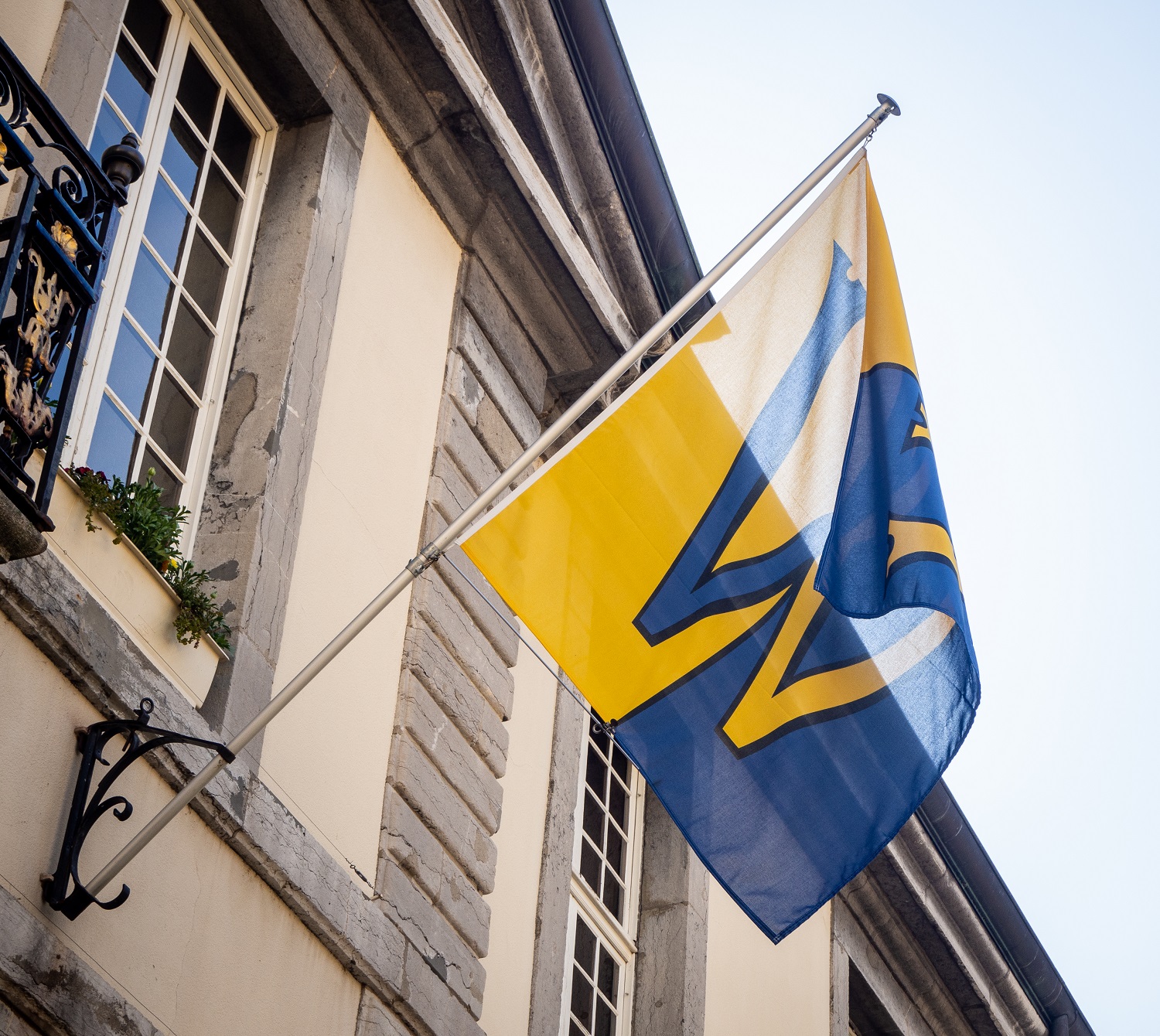 Vevey: un budget 2023 amendé mais accepté, malgré les abstentions
