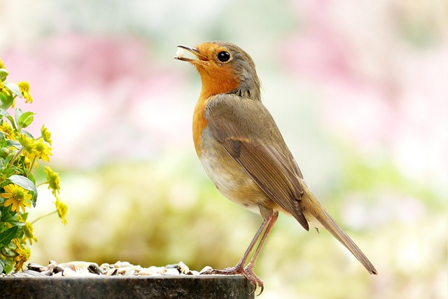 Pro Natura Vaud publie un manifeste pour la biodiversité dans le canton