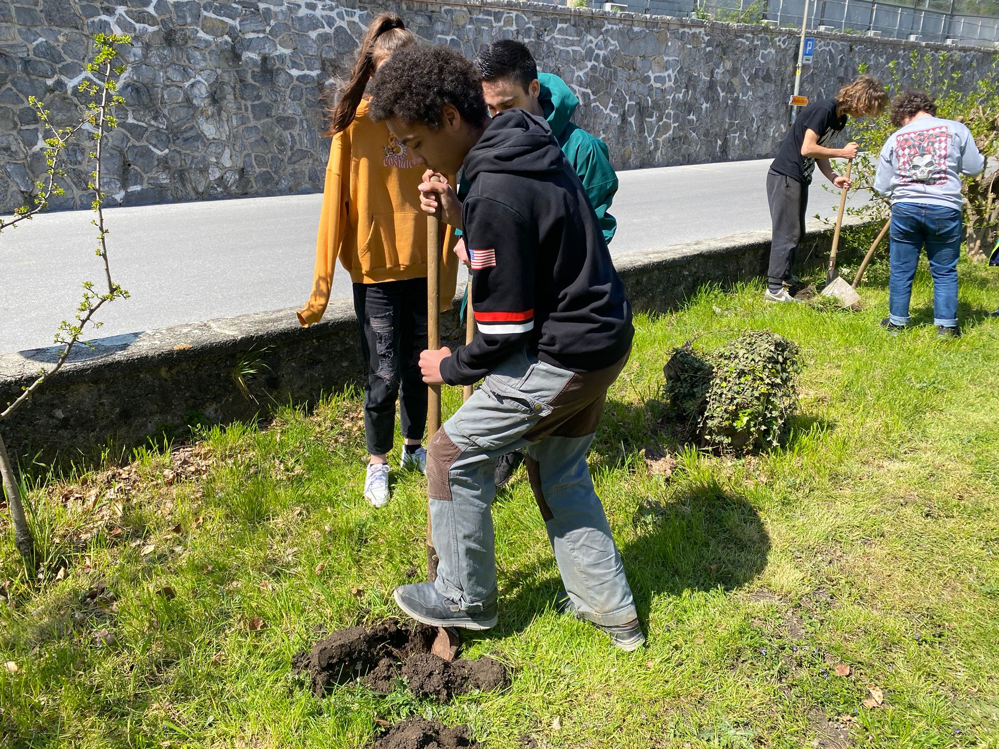 Saint-Maurice : élèves et professeurs du Collège unissent leurs forces pour planter des arbustes