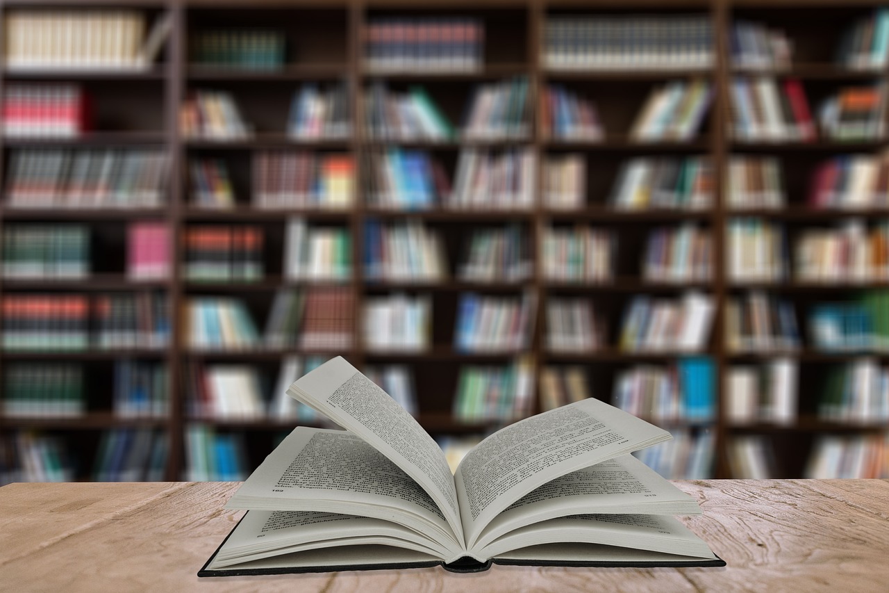 Vers une bibliothèque baptisée "Queer Pâdze" pour les personnes concernées par des questions de genre et d'orientation sexuelle