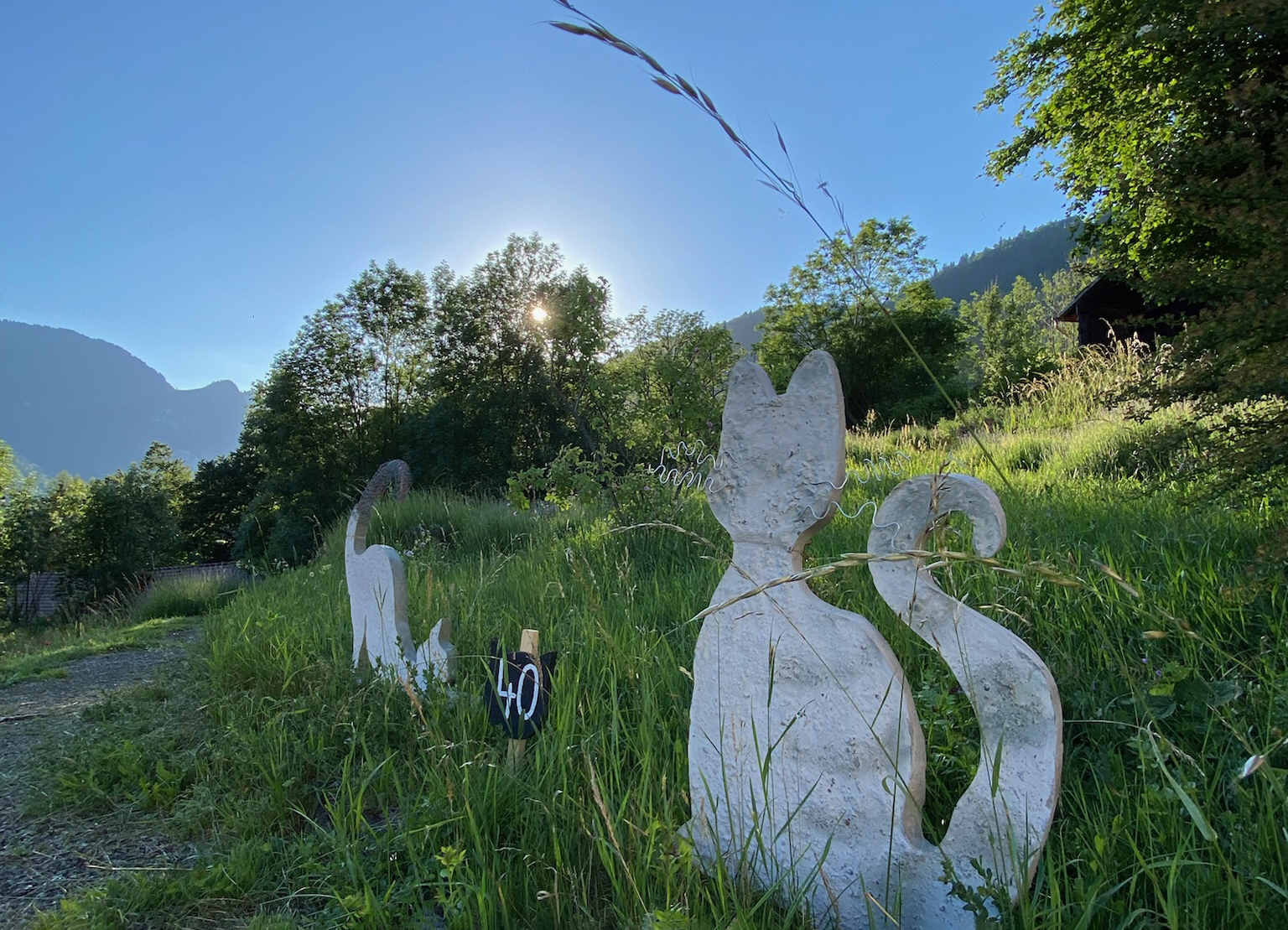 Royaume des Chats à Rossinière: aux amateurs de félins, à votre créativité!