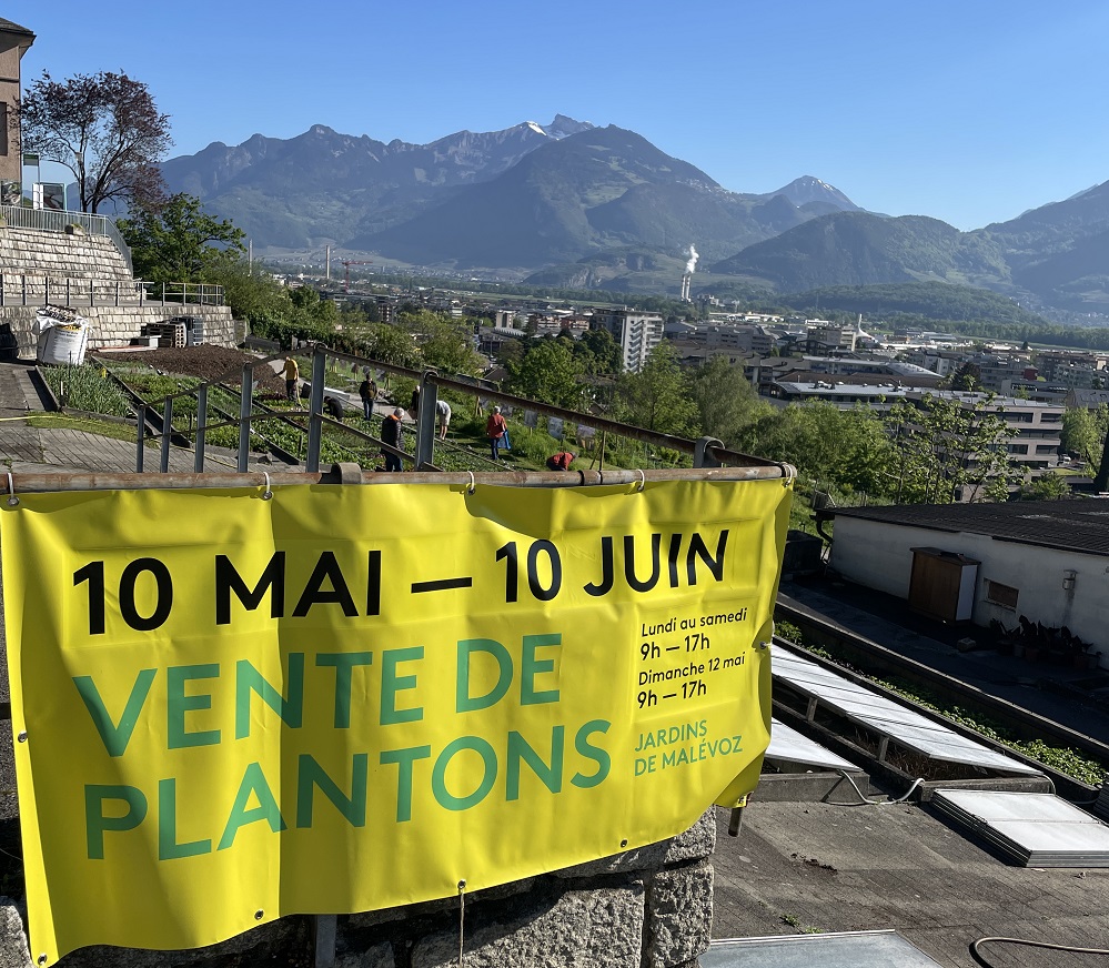 Hôpital de Malévoz : un jardin pour cultiver la réinsertion