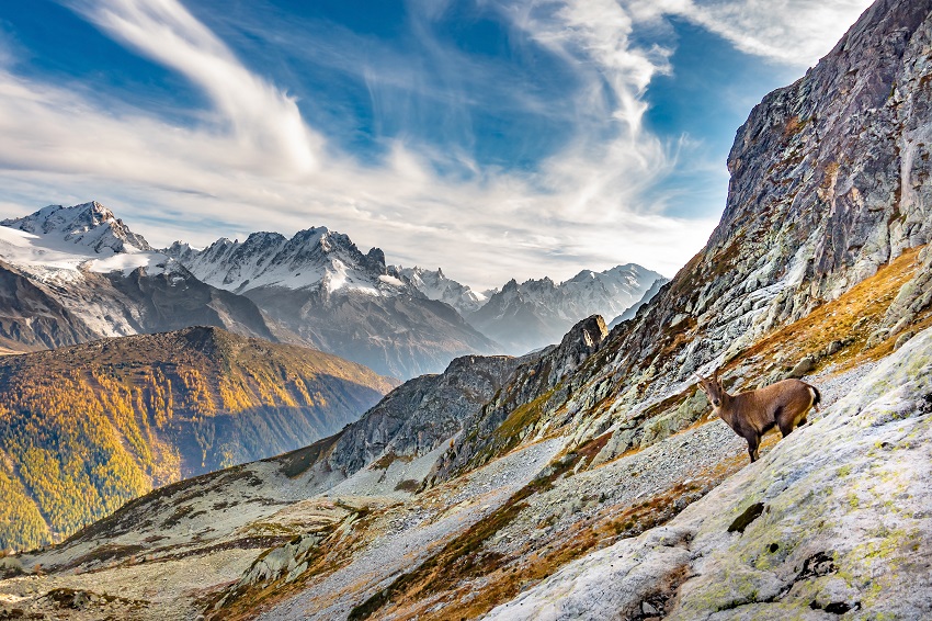 Le Parc naturel régional de la Vallée du Trient est officiellement reconnu d’importance nationale