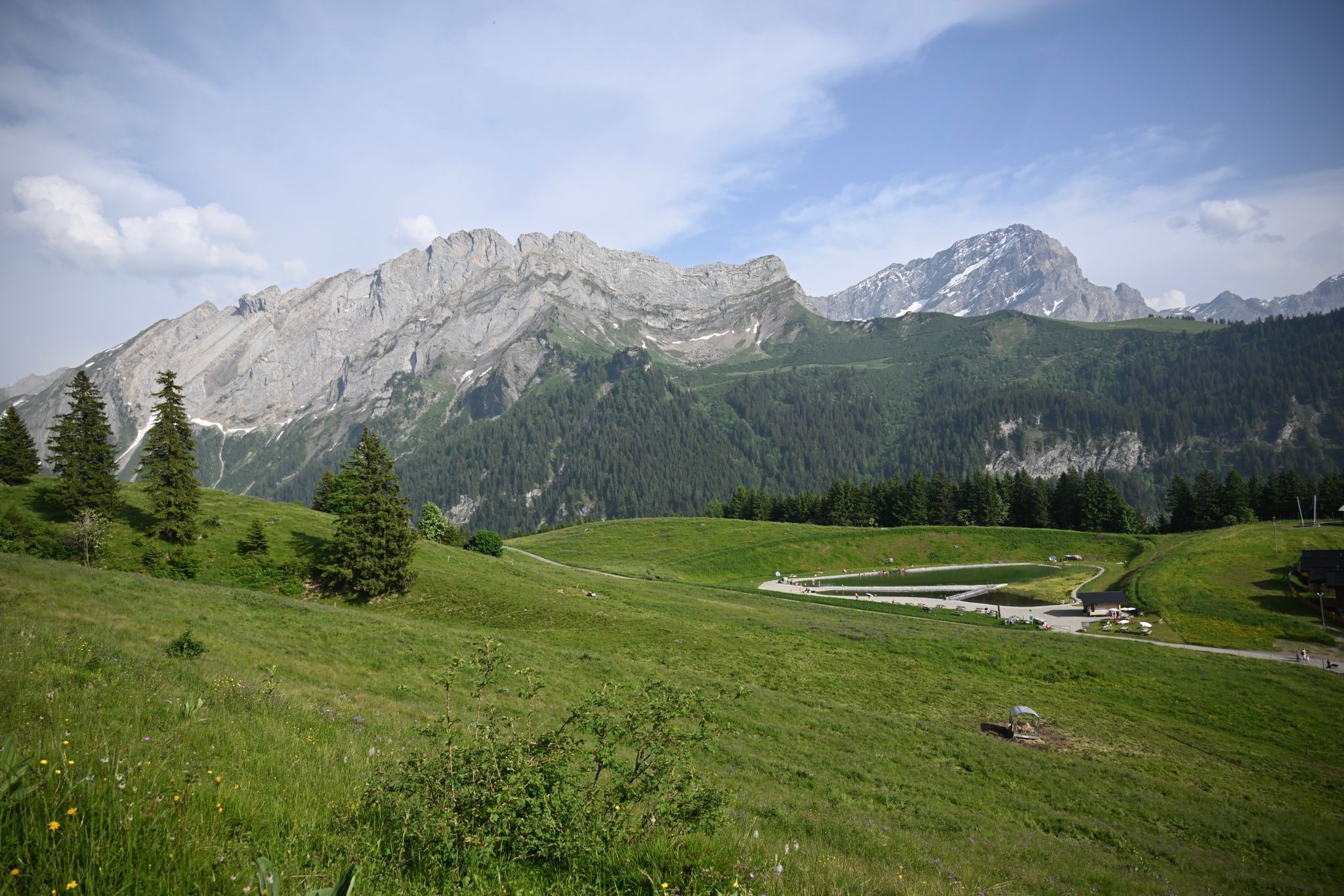 Gryon : une initiative veut préserver le plateau de Frience du tourisme de masse