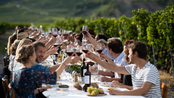 Tavolata des vins : des banquets géants au cœur des vignes valaisannes