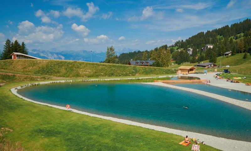 Gryon revoit sa planification touristique à Frience