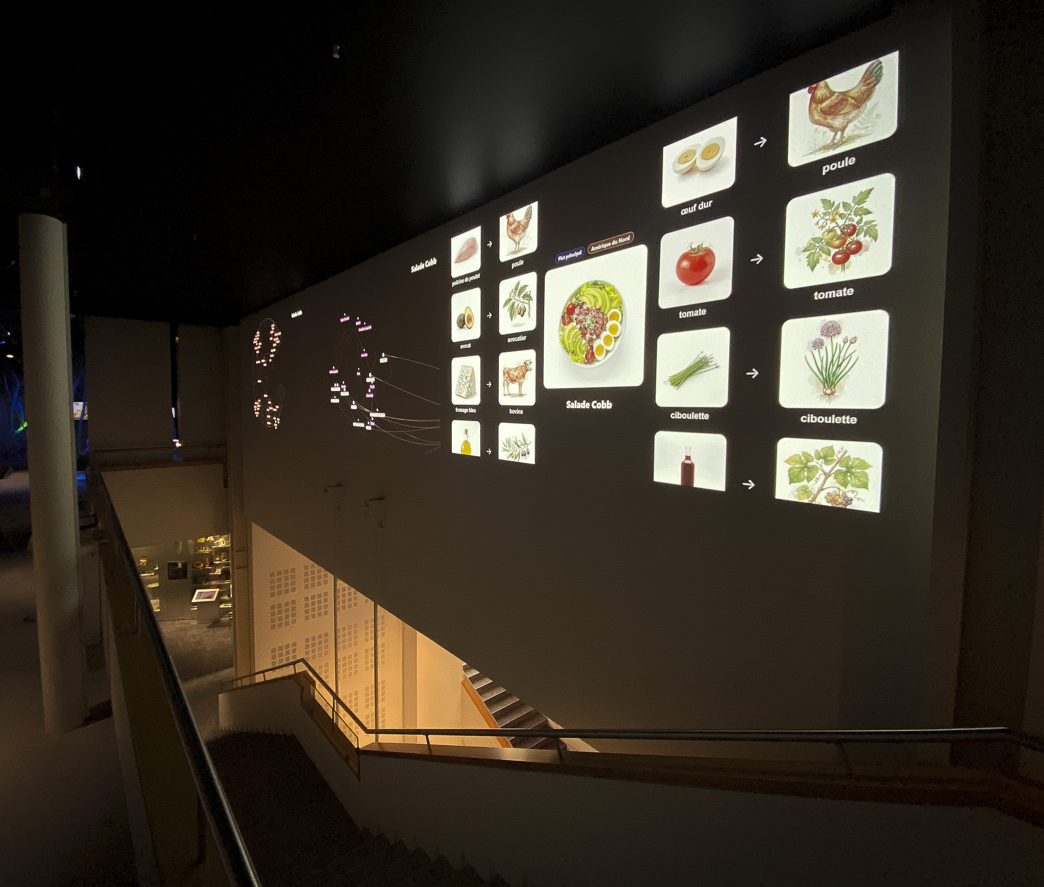 Une nouvelle installation interactive à l'Alimentarium de Vevey