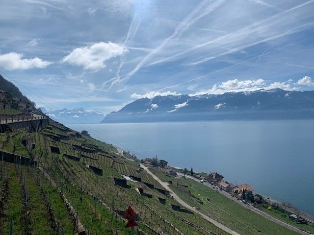  Le 8ème Congrès international du Centre de Recherches, d’Études et de Valorisation de la Viticulture de Montagne s'ouvre à Montreux