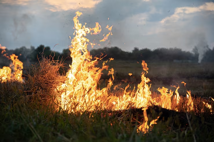 Le danger d’incendie est au maximum dans certaines régions du Valais