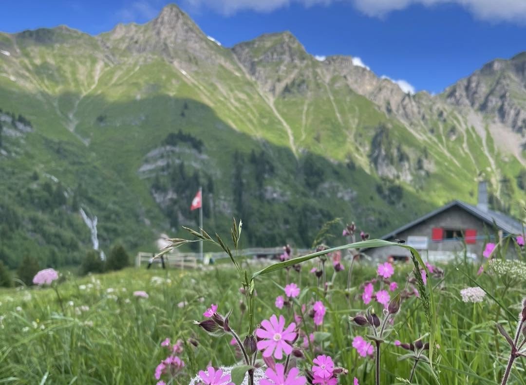 La bourgeoisie de Monthey souhaite rapidement reconstruire le chalet d'alpage à Tovassière