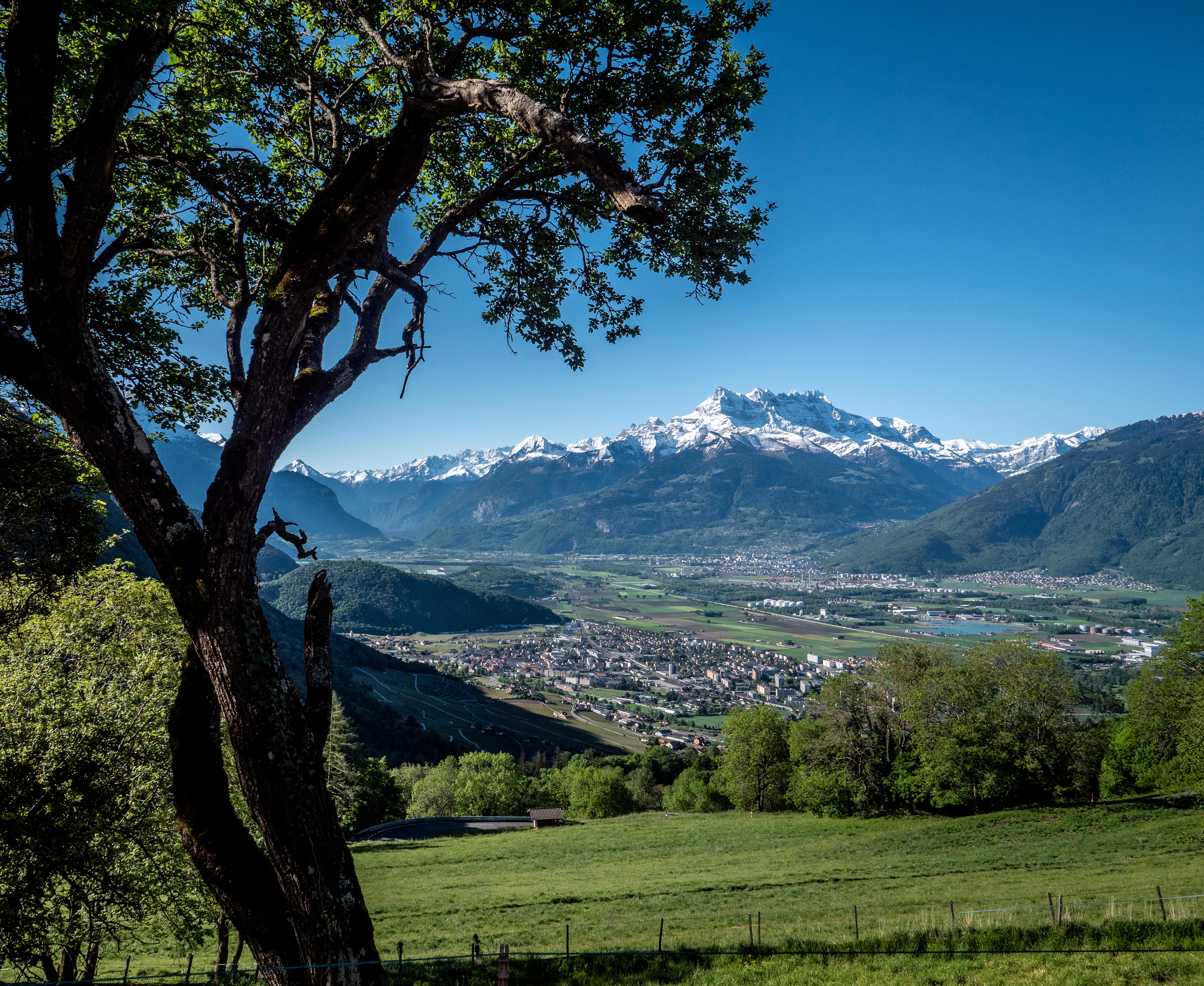 https://radiochablais.ch/images/2026/09/25/aigle.jpg