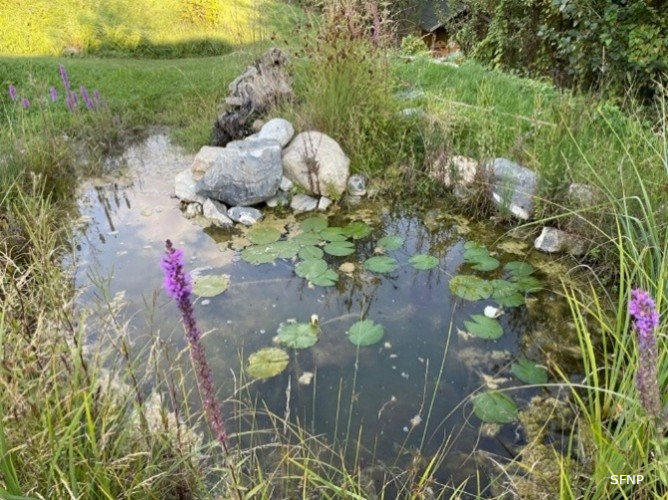 Valais: un programme d'aide financière pour améliorer la biodiversité dans les jardins des particuliers